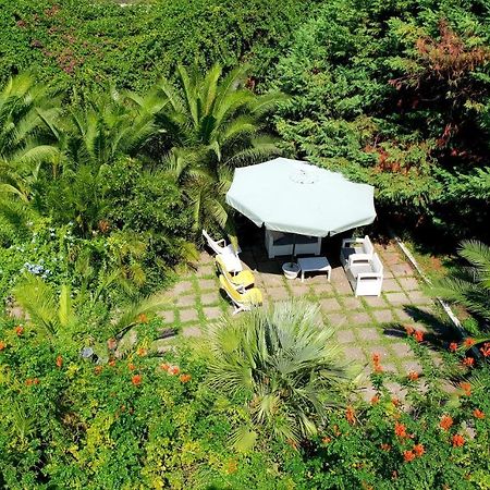 B&B Il Giardino Di Villa Anna Trecase Luaran gambar