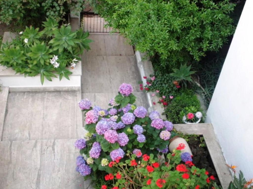 B&B Il Giardino Di Villa Anna Trecase Luaran gambar