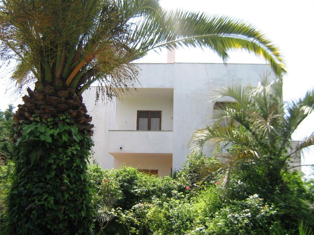 B&B Il Giardino Di Villa Anna Trecase Luaran gambar
