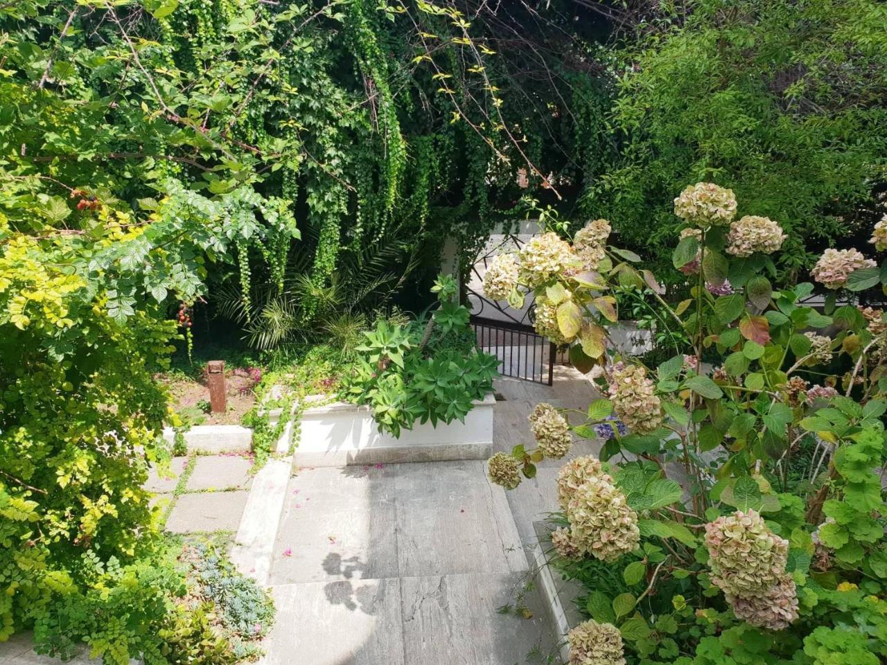 B&B Il Giardino Di Villa Anna Trecase Luaran gambar