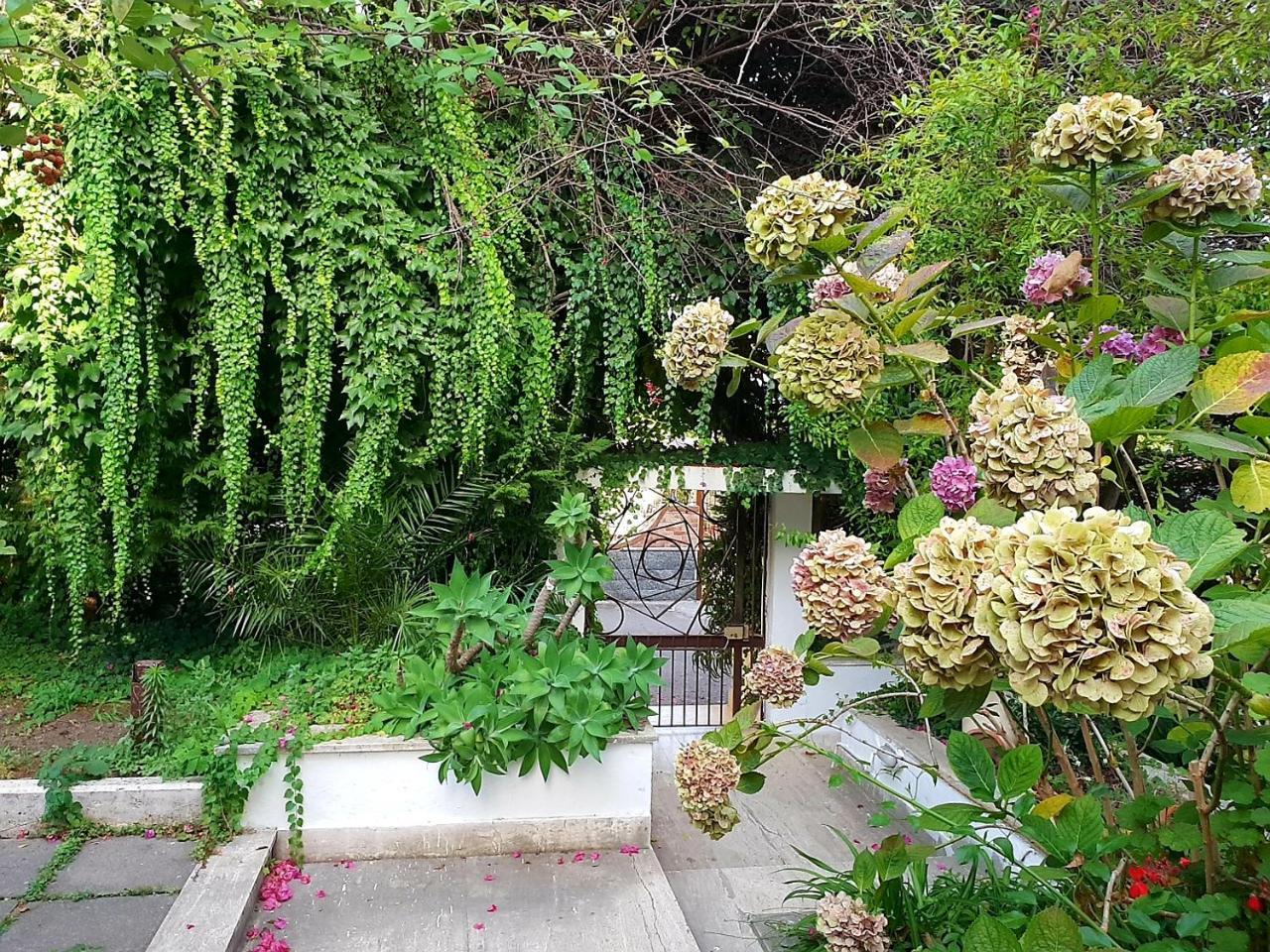 B&B Il Giardino Di Villa Anna Trecase Luaran gambar