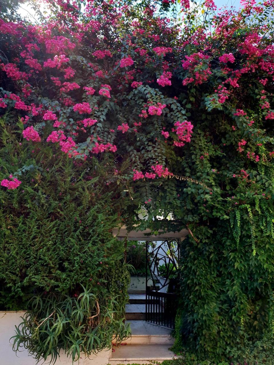 B&B Il Giardino Di Villa Anna Trecase Luaran gambar