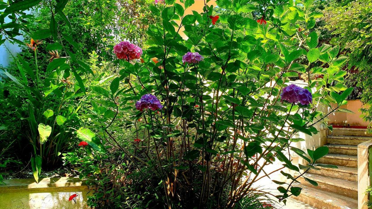 B&B Il Giardino Di Villa Anna Trecase Luaran gambar